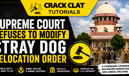 Supreme Court Refuses to Modify Stray Dog Relocation Order: A Landmark Judgment Balancing Public Safety and Animal Welfare